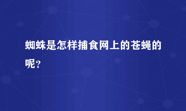 蜘蛛是怎样捕食网上的苍蝇的呢？