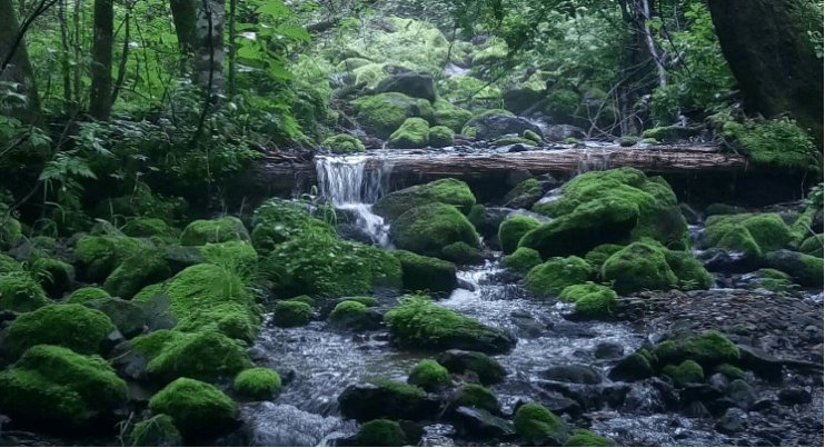 深山长谷什么意思