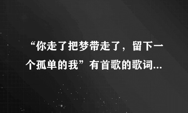“你走了把梦带走了，留下一个孤单的我”有首歌的歌词是这样唱的谁知道是什么歌啊