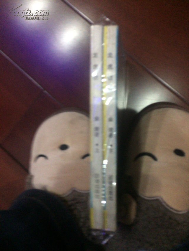 龙虎啸的剧情简介