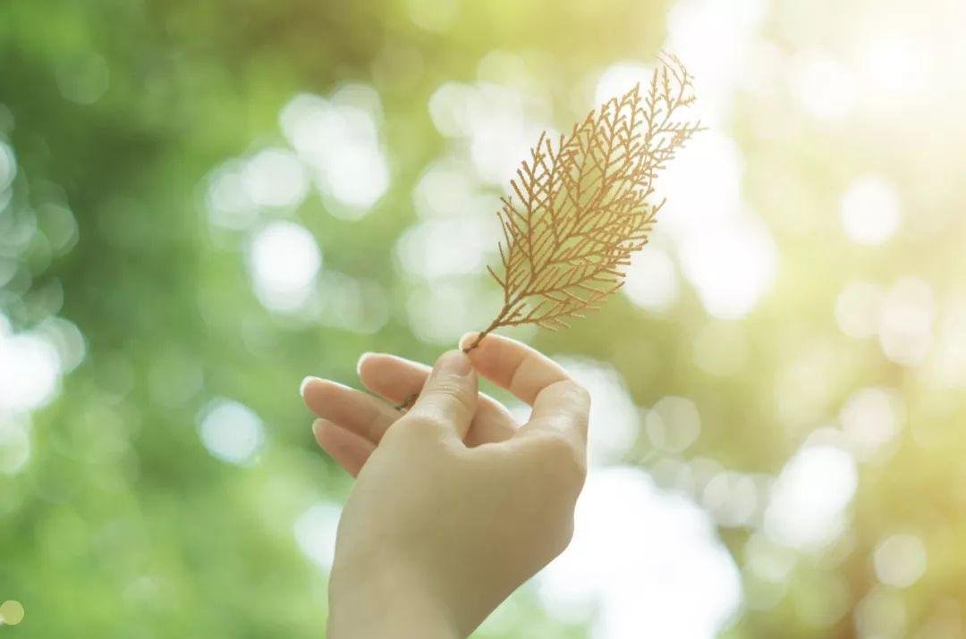 往事清零是什么意思？