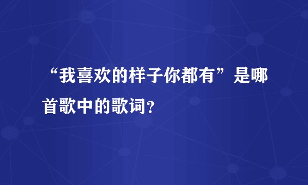 “我喜欢的样子你都有”是哪首歌中的歌词？