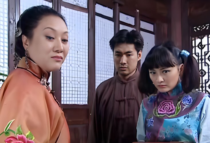 大宅院的女人剧情简介