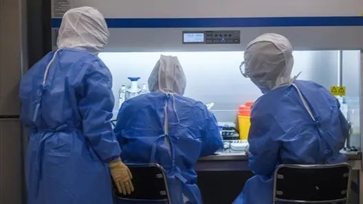 南澳州出现首例乙脑死亡病例，这是一种什么疾病？