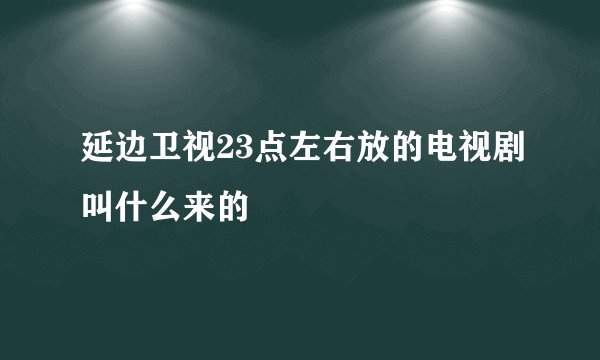 延边卫视23点左右放的电视剧叫什么来的