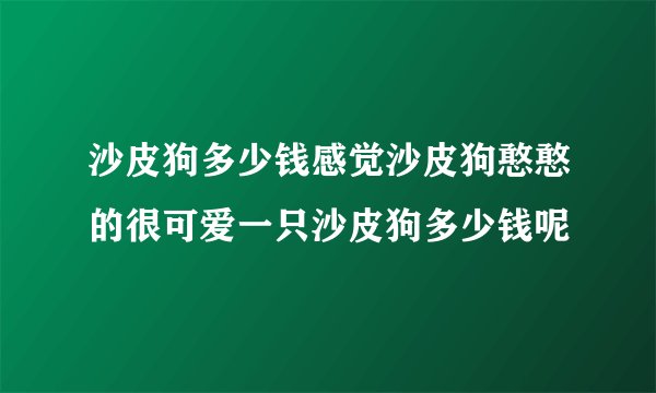沙皮狗多少钱感觉沙皮狗憨憨的很可爱一只沙皮狗多少钱呢