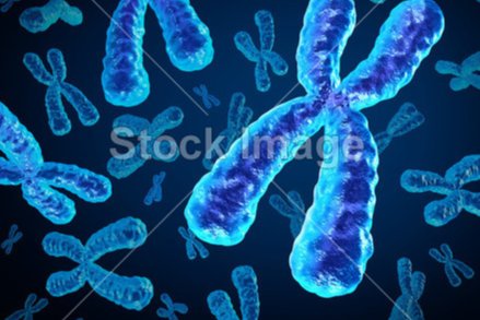 染色体组名词解释