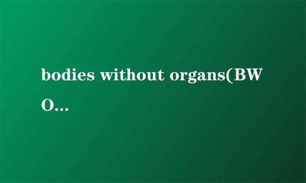 bodies without organs(BWO)这个组合的名字是什么意思?