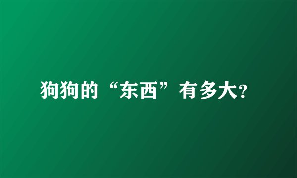 狗狗的“东西”有多大？