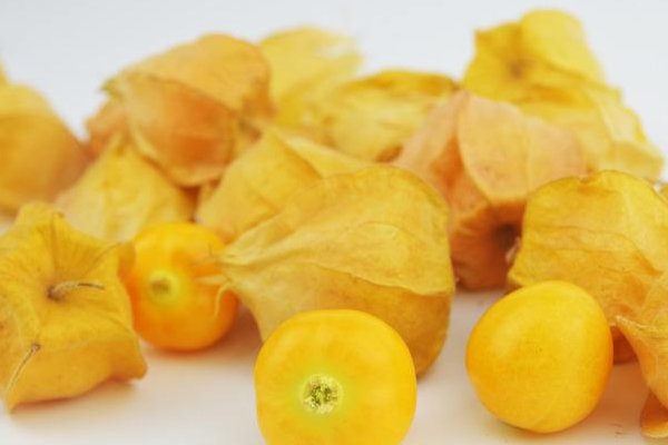 金姑娘是什么水果