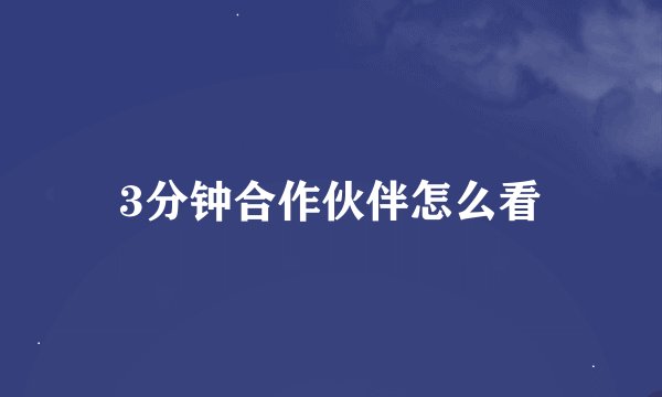 3分钟合作伙伴怎么看