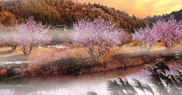 桃花源记:本文的线索是什么,围绕这一线索,作者写了哪几件事