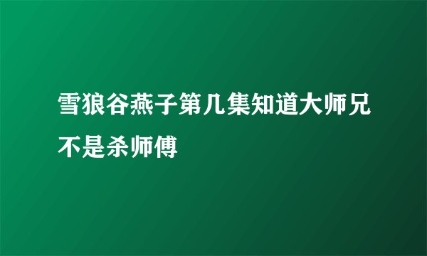 雪狼谷燕子第几集知道大师兄不是杀师傅