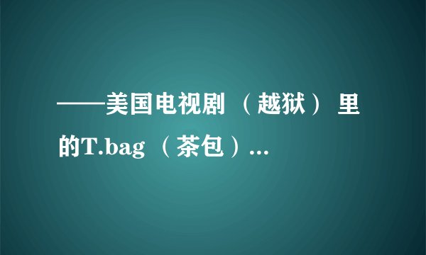 ——美国电视剧 （越狱） 里的T.bag （茶包）是什么角色？有没有喜欢他的？佩服他的？