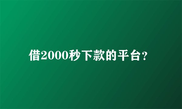 借2000秒下款的平台？
