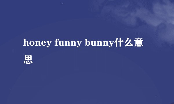 honey funny bunny什么意思