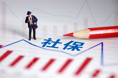 社保在哪个网址查询个人信息？