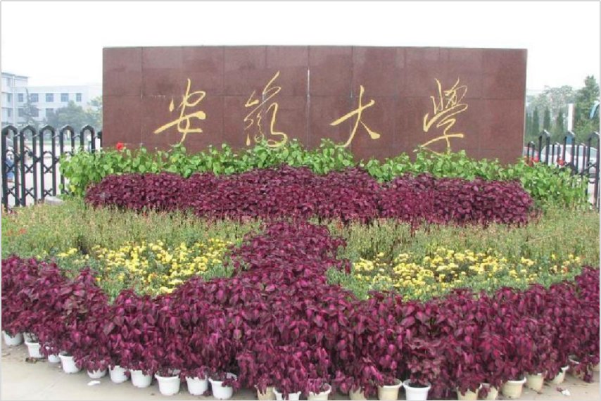 安徽大学招生电话