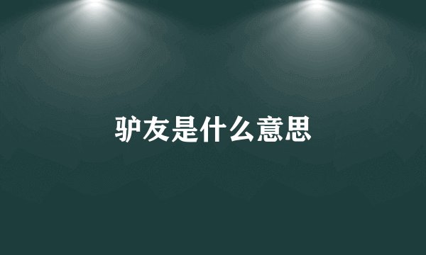 驴友是什么意思