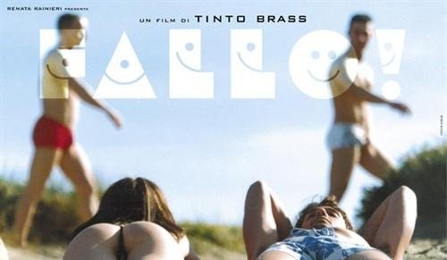 激情假期的介绍