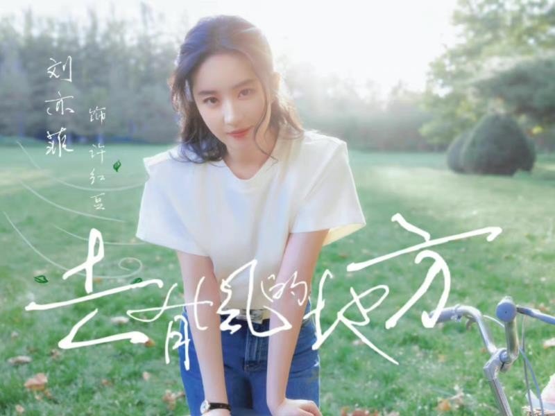 去有风的地方改编自哪部小说