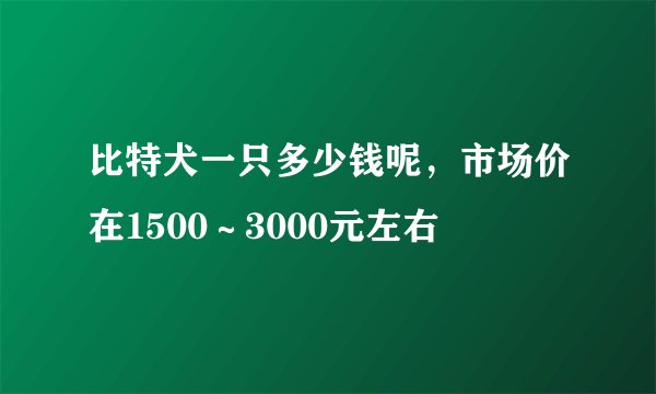 比特犬一只多少钱呢，市场价在1500～3000元左右