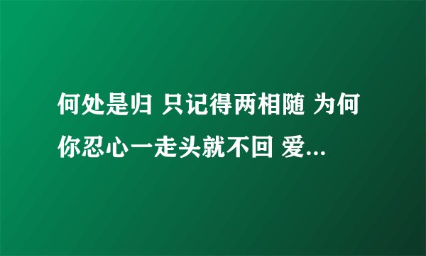 何处是归 只记得两相随 为何你忍心一走头就不回 爱情的债让我来背 江湖恩怨是是非非 今生只…是什么歌？