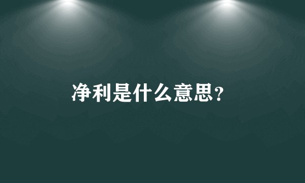 净利是什么意思？