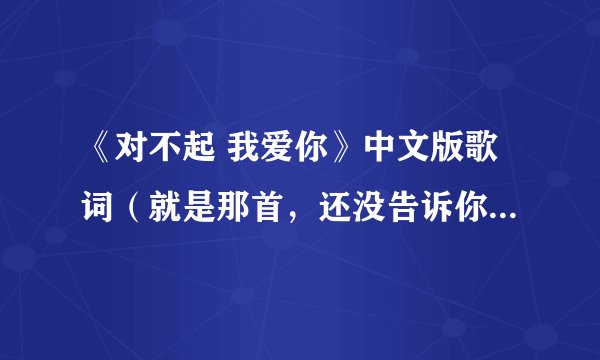 《对不起 我爱你》中文版歌词（就是那首，还没告诉你、对不起我爱你）