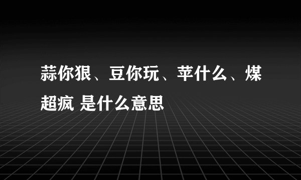 蒜你狠、豆你玩、苹什么、煤超疯 是什么意思