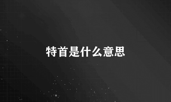 特首是什么意思