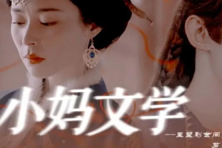 小妈文学是什么意思