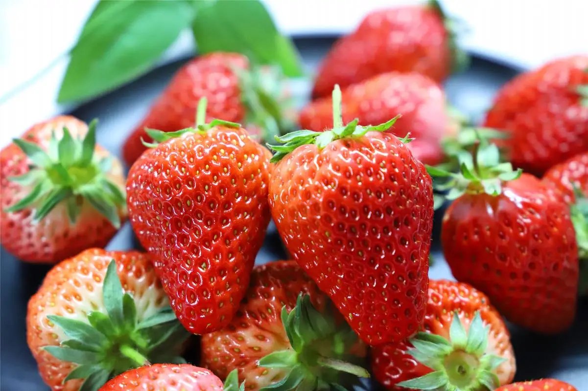 草莓上市，部分品种近200元一斤，你是否会选择购买呢？