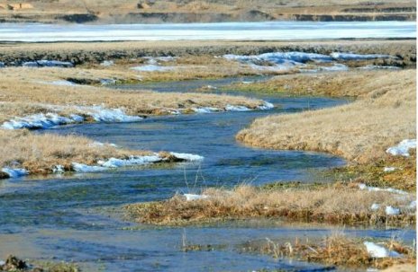 “一九二九，不出手；三九四九，冰上走；五九六?