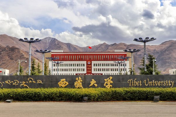 211分数线及排名