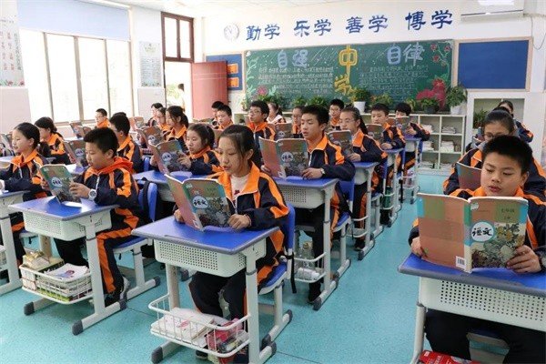 杭州临平树兰中学的收费标准是多少？