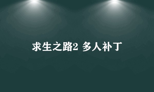 求生之路2 多人补丁