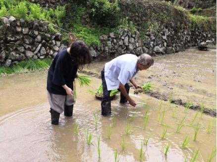 浙江一95后女孩新生活，休学后进山做农民，你能理解此做法吗？