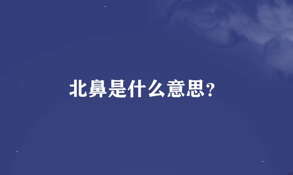 北鼻是什么意思？