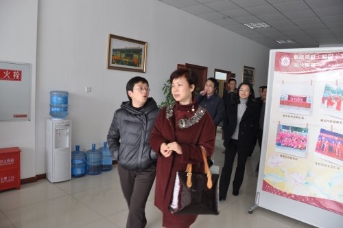 成都市文化局的主要职责