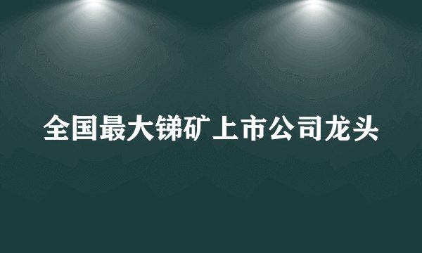 全国最大锑矿上市公司龙头