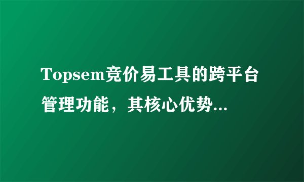 Topsem竞价易工具的跨平台管理功能，其核心优势是什么？
