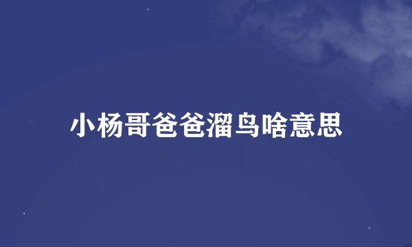小杨哥爸爸溜鸟啥意思