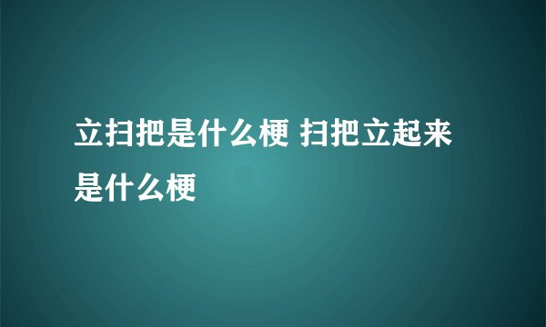立扫把是什么梗 扫把立起来是什么梗