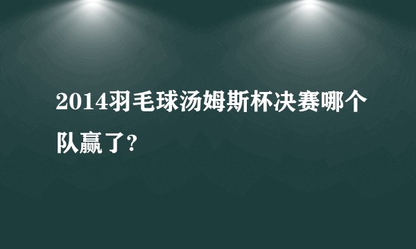 2014羽毛球汤姆斯杯决赛哪个队赢了?