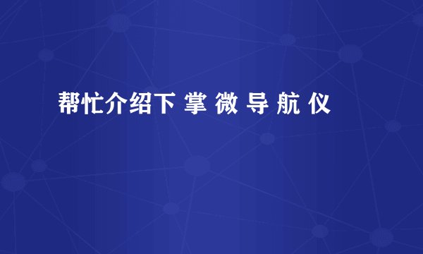 帮忙介绍下 掌 微 导 航 仪