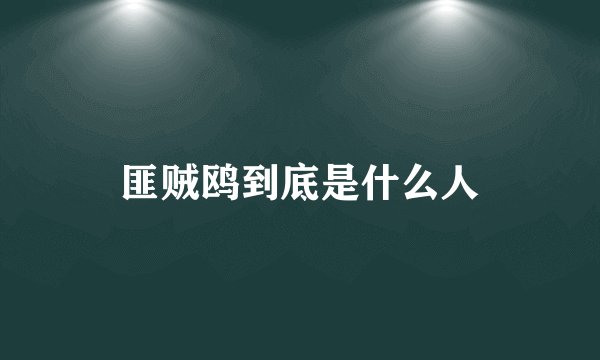 匪贼鸥到底是什么人
