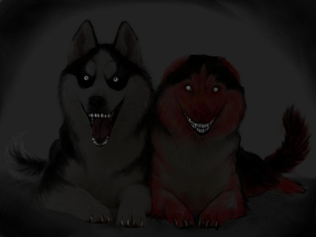 求这张恐怖微笑狗图片高清大原图