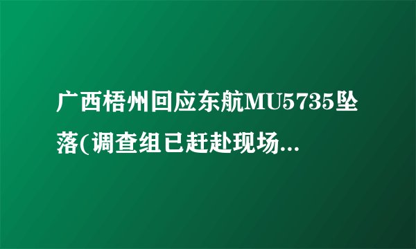 广西梧州回应东航MU5735坠落(调查组已赶赴现场展开调查工作)