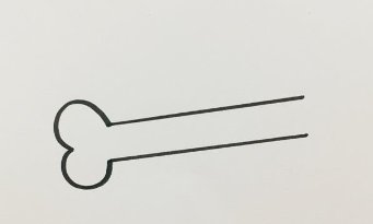 骨头怎么画